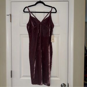 Iris Velvet Plum Dress